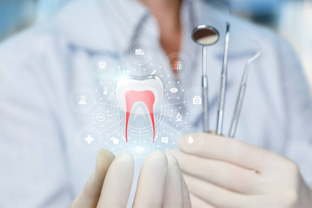 Trusted Fayette, OH Holistic Dental Care Services Experts